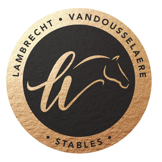 logo stal lambrecht