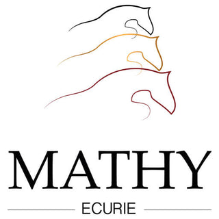 logo mathy ecurie