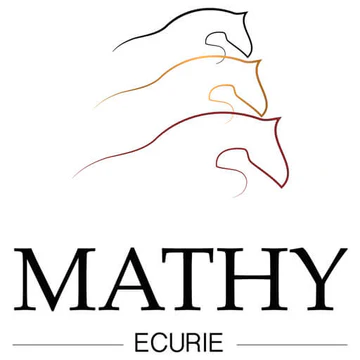 Ecurie Mathy - Professional horse stables Ecurie Mathy - Professional horse stables