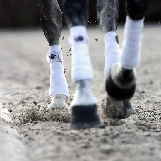 Bruno Beyne - Close-up paardenhoeven op piste Bruno Beyne - Close-up paardenhoeven op piste
