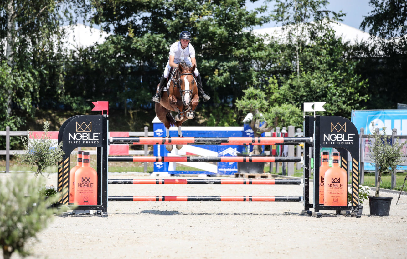 Competition jumping at Haras de Bornival