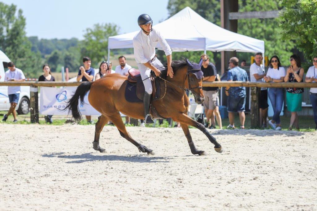 Horse training session
