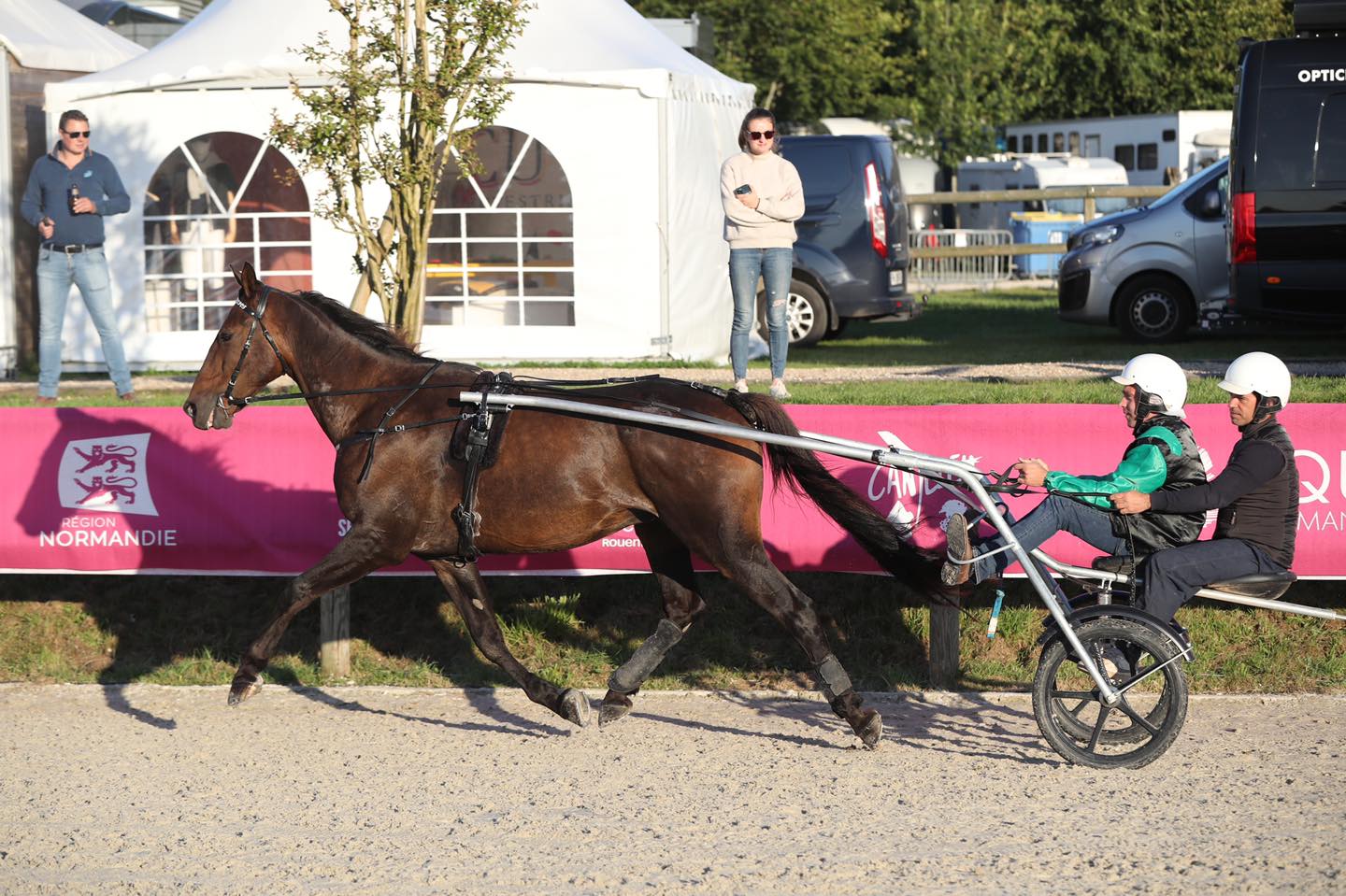Equi-Normandie - Aangespannen rijden Equi-Normandie - Aangespannen rijden